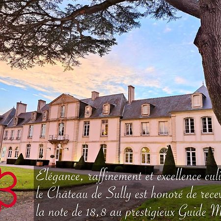 Grand Hotel "Chateau De Sully" - Piscine & Spa -Teritoria Sully  Esterno foto